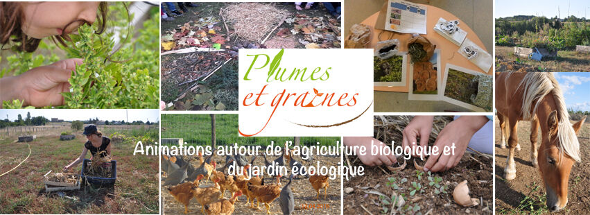 Visite d’un élevage de volailles bio et du jardin écologique