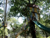 Bois des Lutins - Villeneuve-Loubet