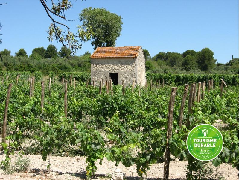 Portrait de Vigneron Costes Cirgues