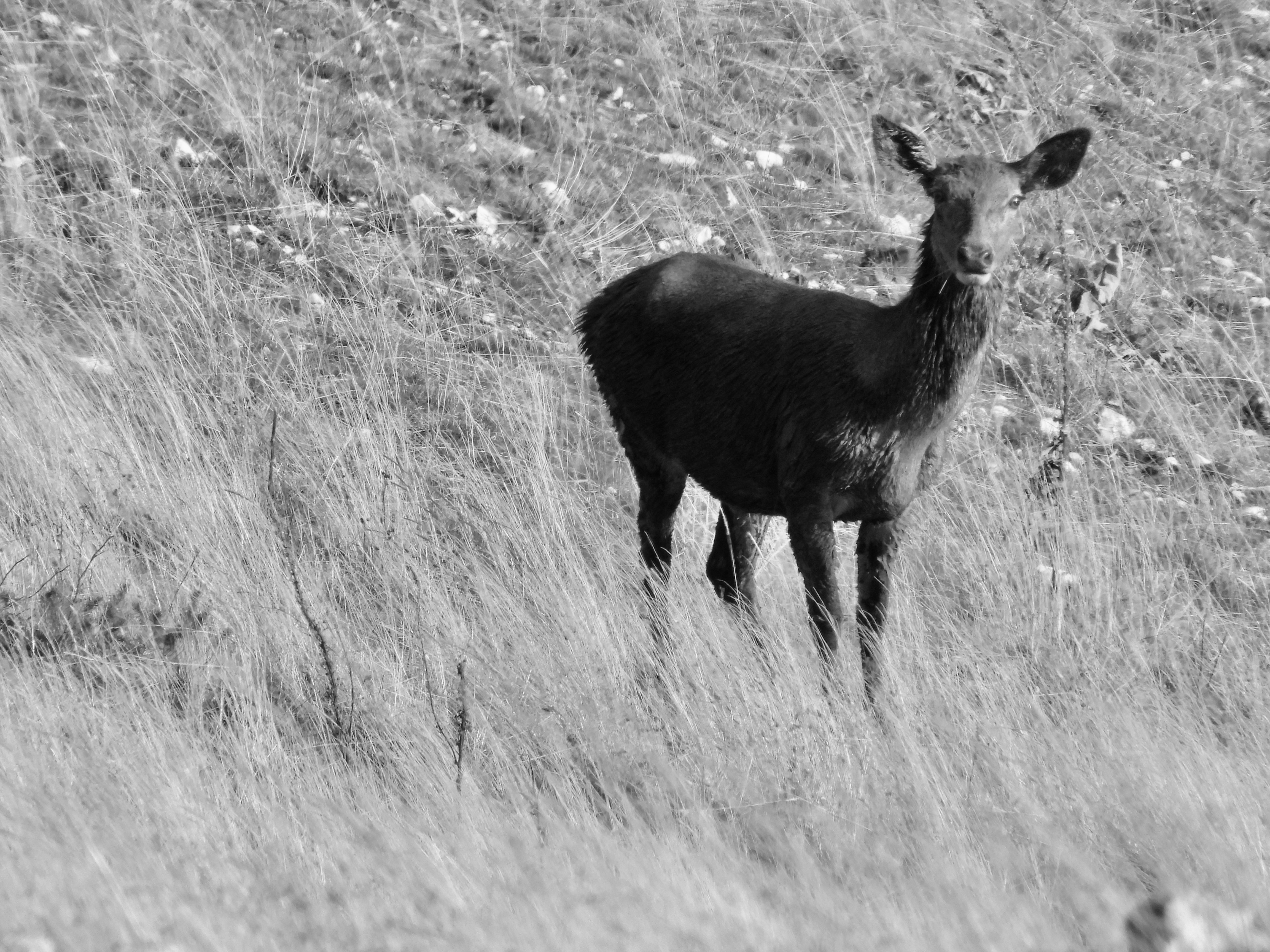 Nature Xplore CROTS