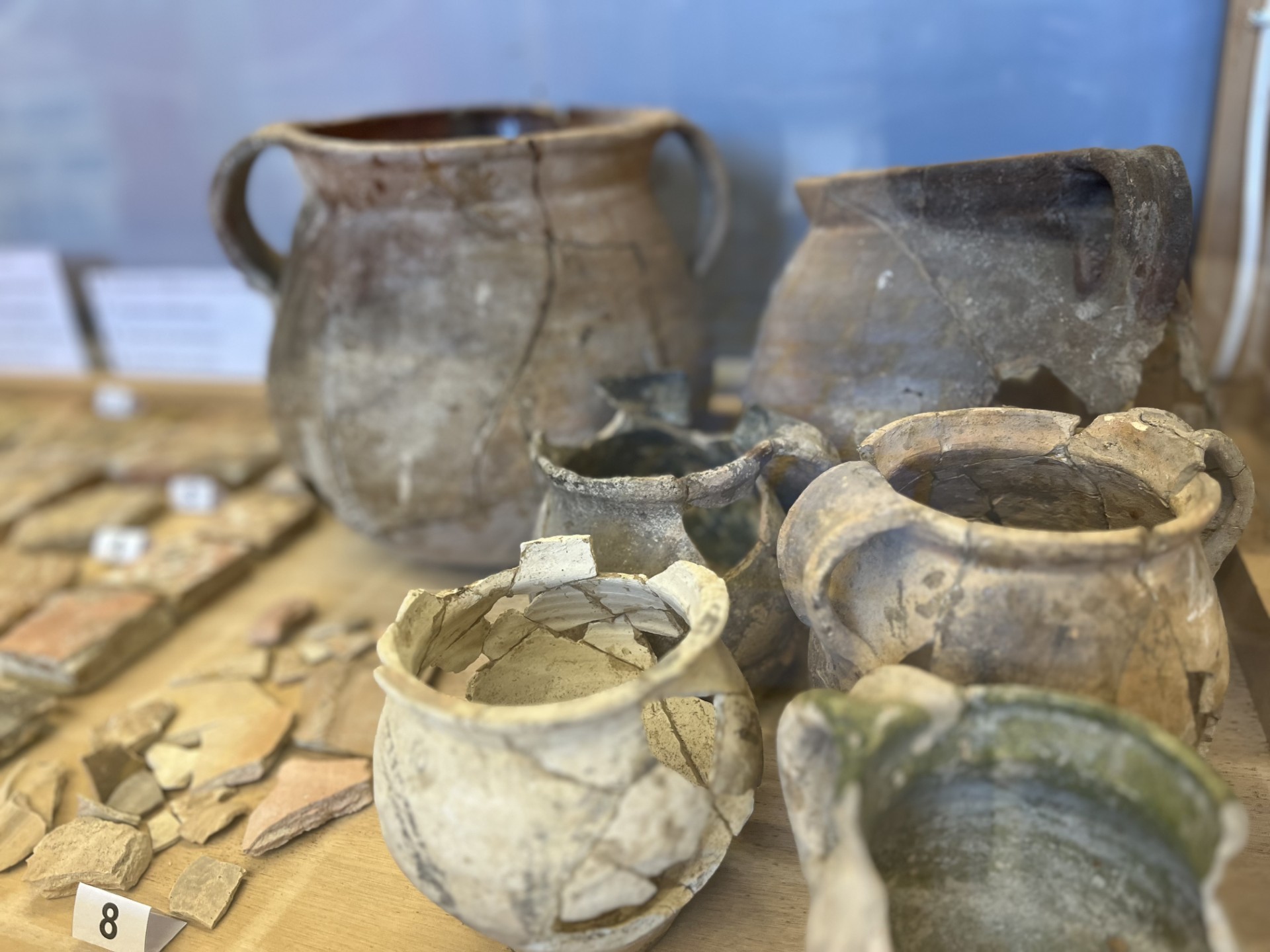 Visite guidée : histoire de Ré