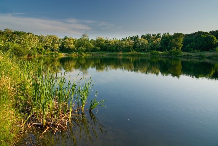 Relais_de_Geneve_Dombes