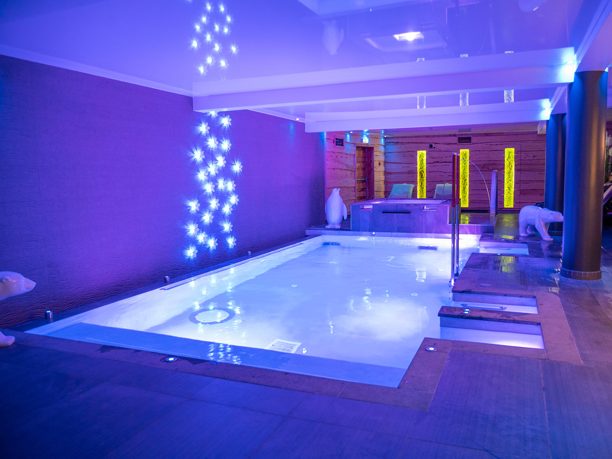 Montana Chalet Hôtel Spa