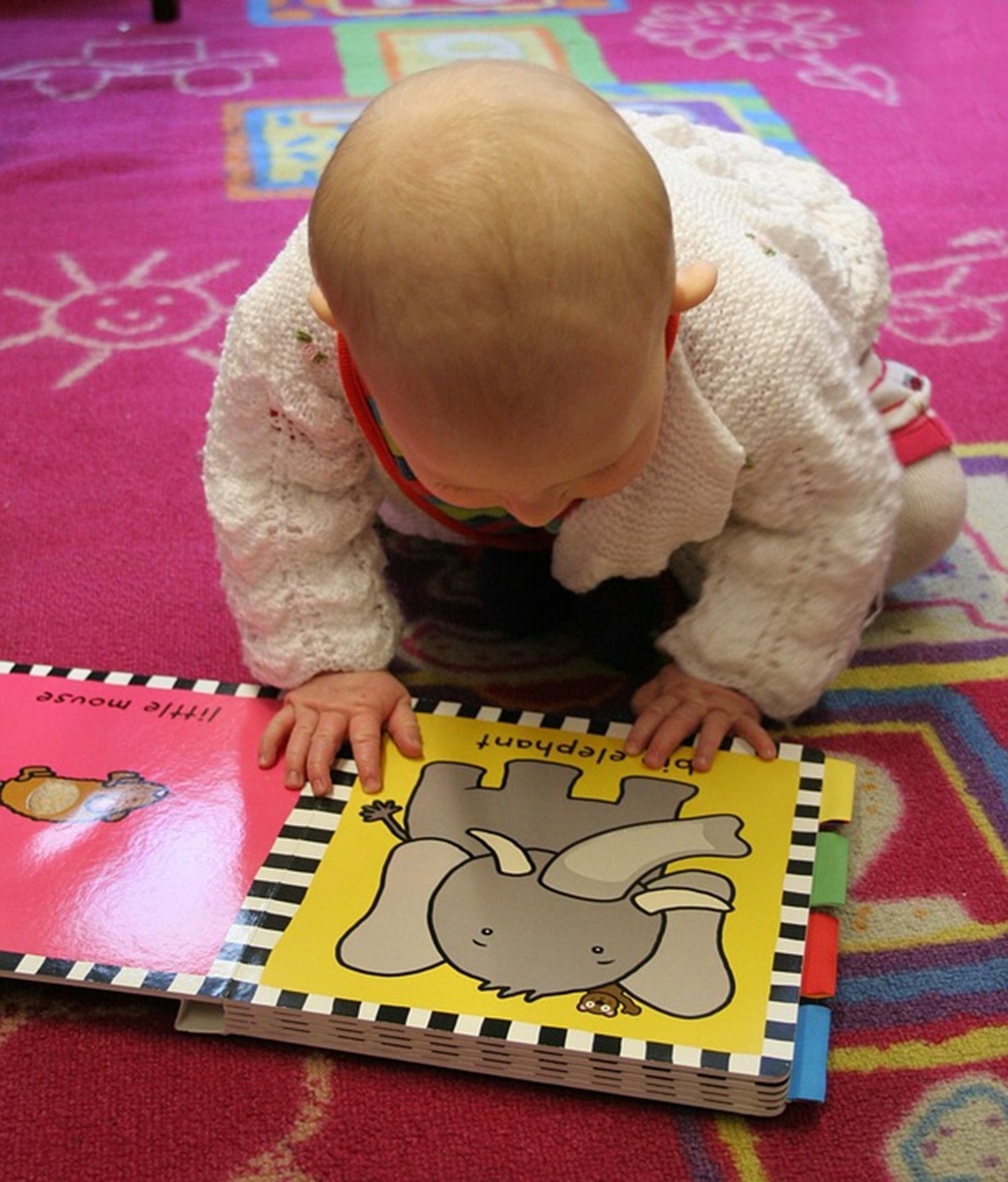 Bébé fasciné par l'éléphant