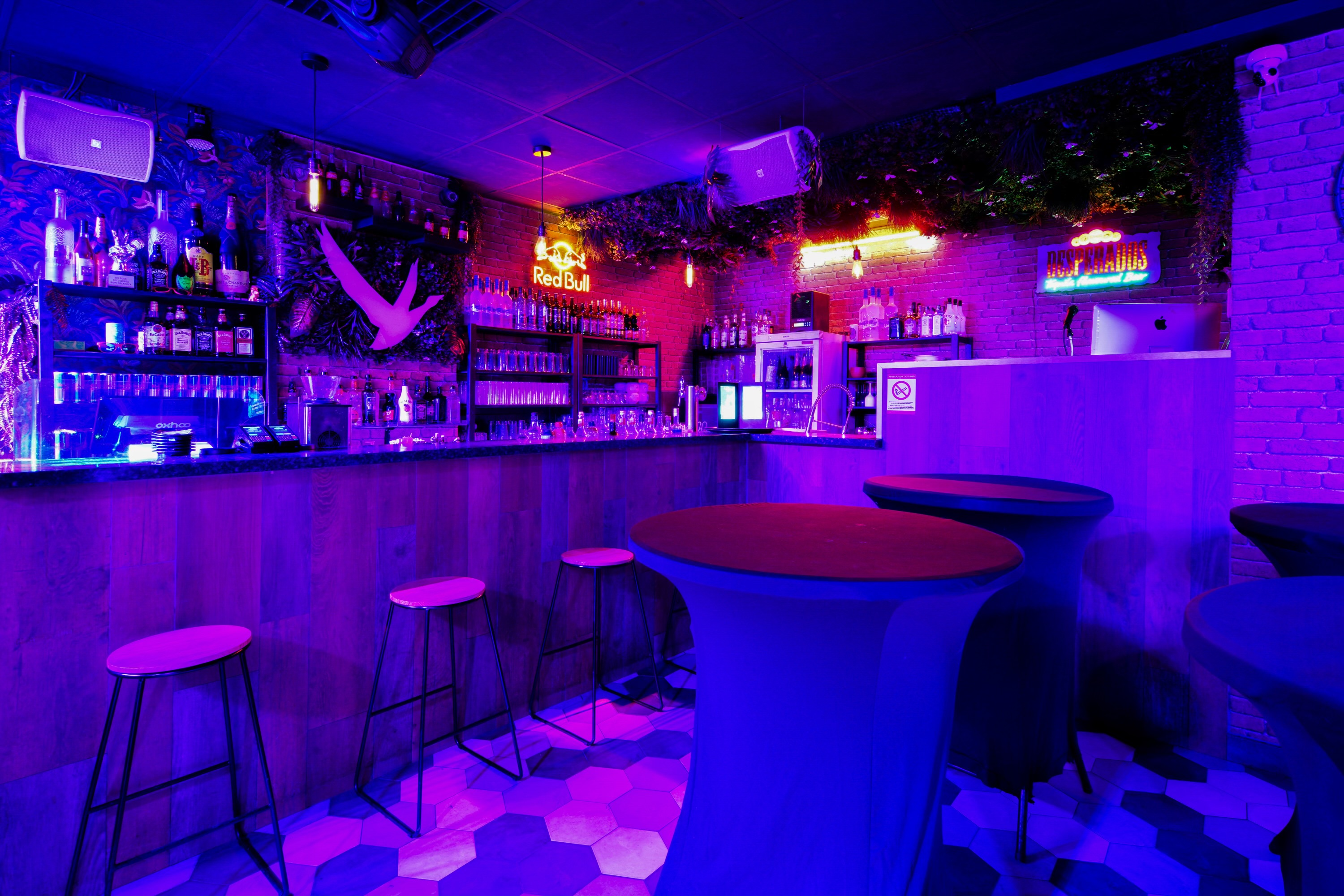 Coco Bongo, Marseille 8e Arrondissement - photo 9