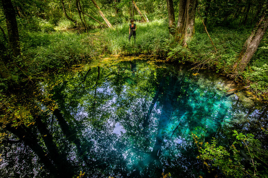 Partie réserve du Marais de Lavours