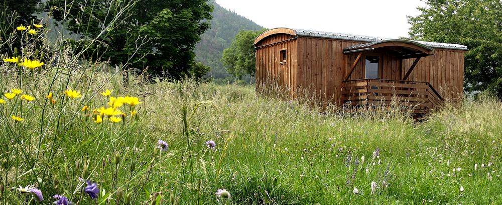 Chambre d'hôtes la Petite Ourse dans la prairie
