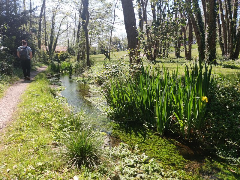 Sentier de l'arboretum - St Vulbas