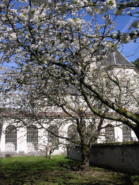 Chartreuse de Sélignac - Simandre sur Suran