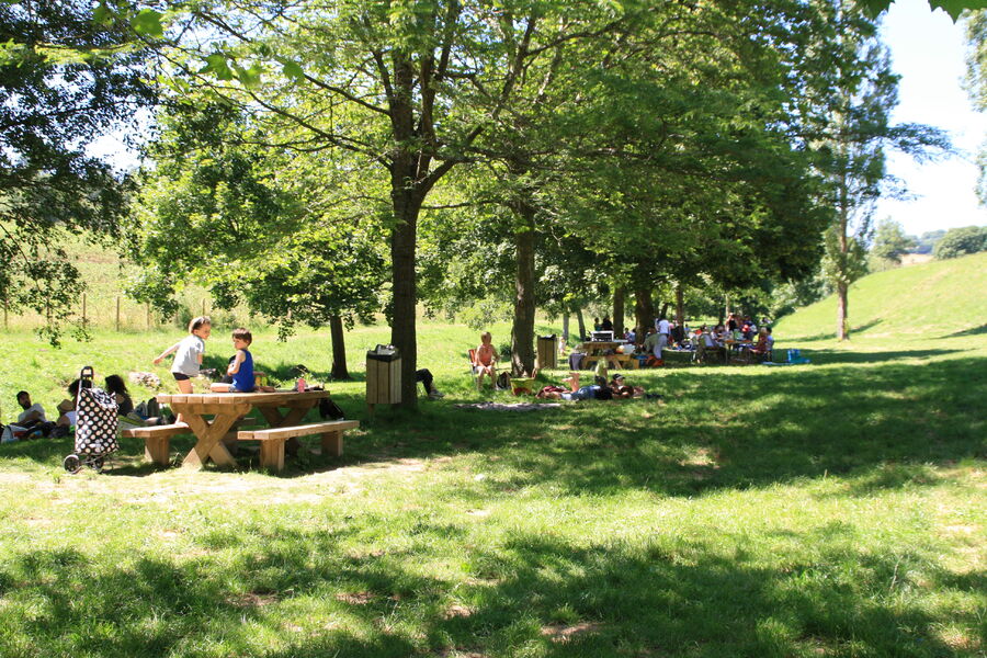 Aire pique nique du lac du Ronzey