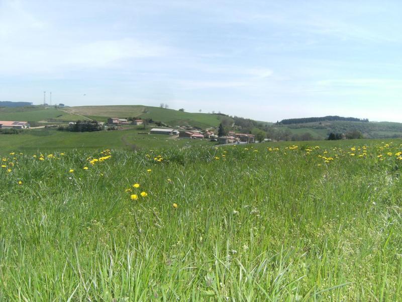 Gîte à la Ferme \