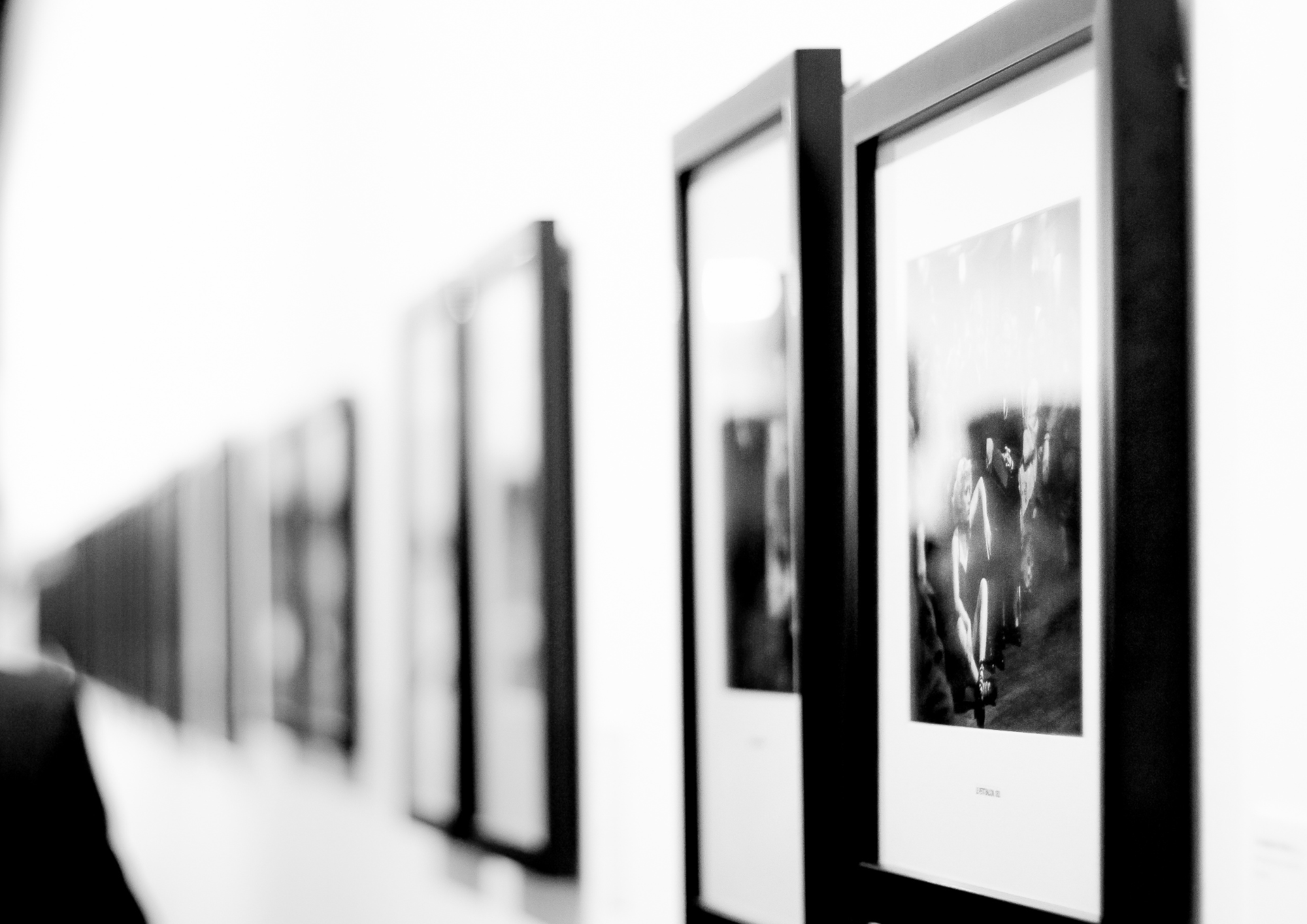 Exposition : "Balylones ou les peuples-jardins" de Juliet C.