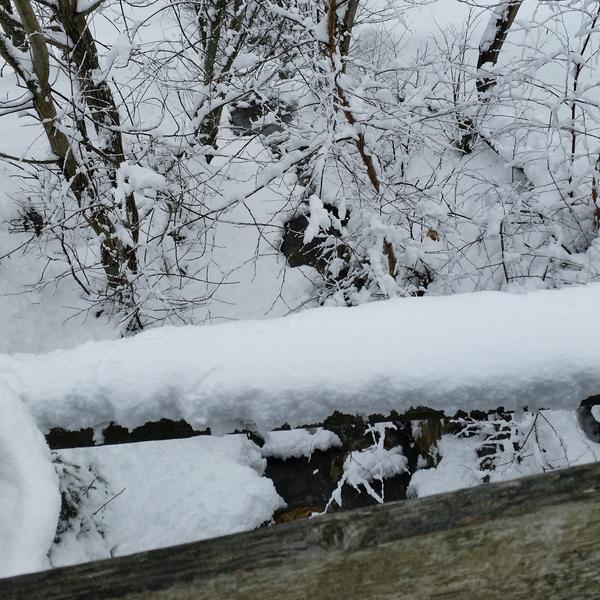 Itinéraire raquette 