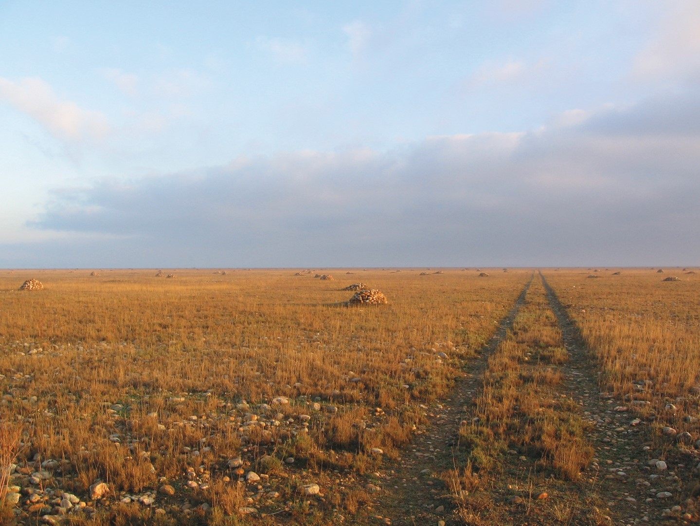 Belle promenade en Crau, Saint-Martin-de-Crau - photo 2