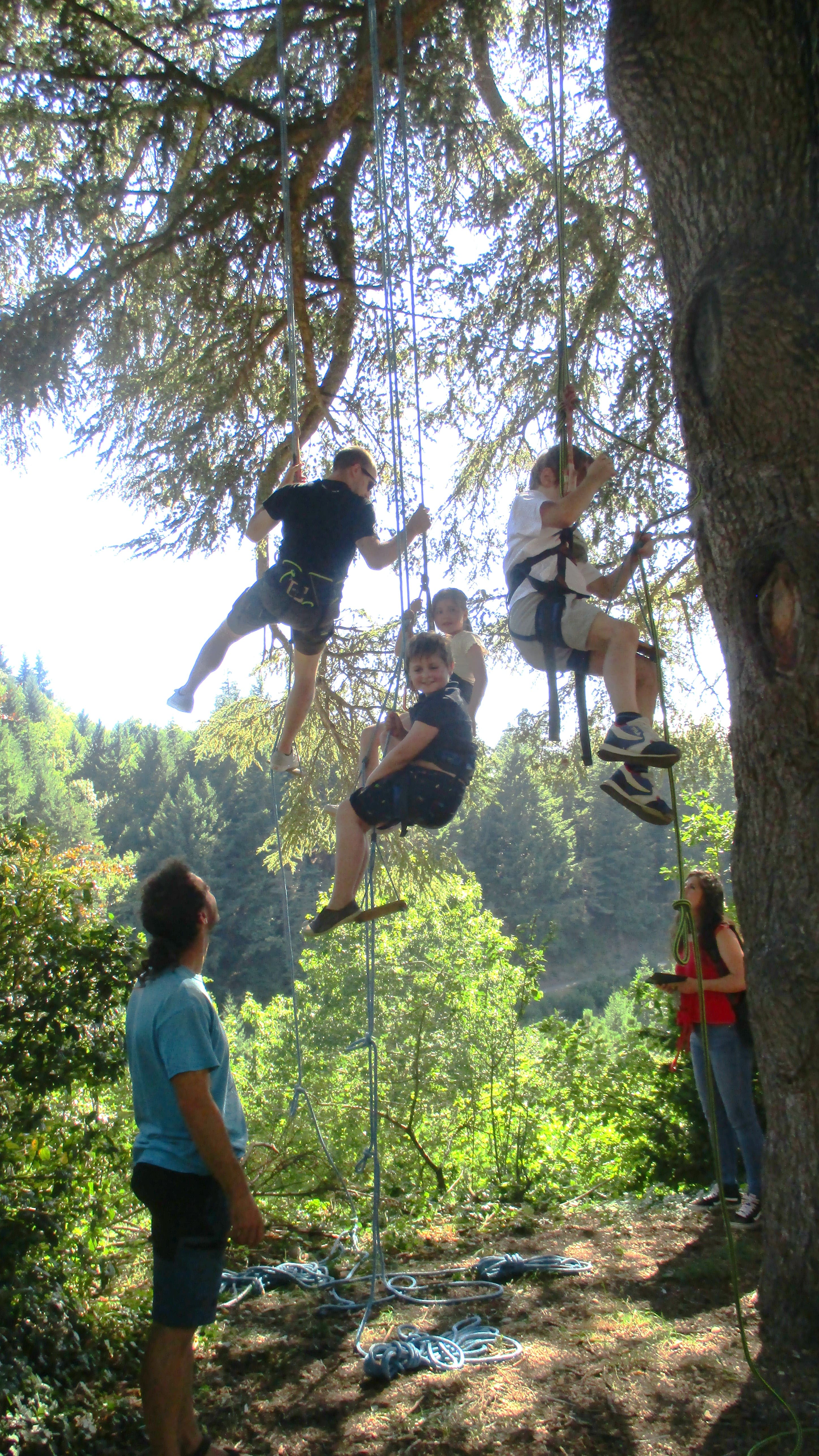 Grimpe dans les arbres - Les Échappées Estivales®
