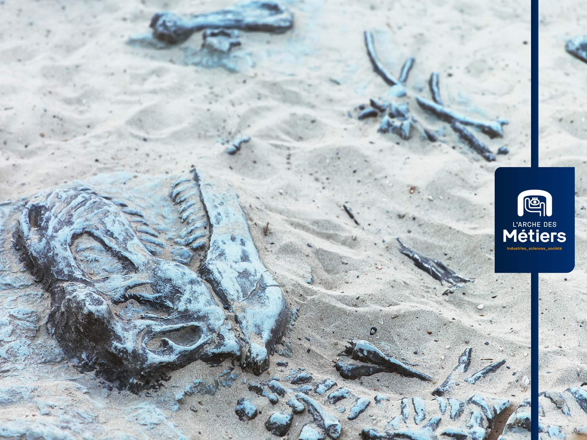 L'Arche des métiers: Sur les traces de Dino