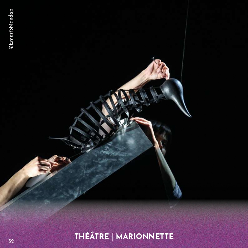 Le complexe du pingouin - Compagnie Le Mouton Carré