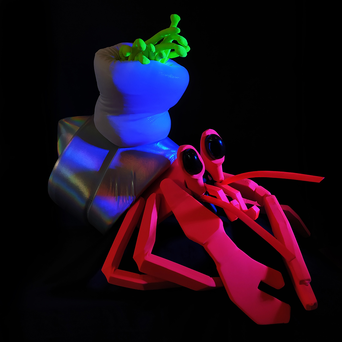 Spectacle - Coquille Diamant