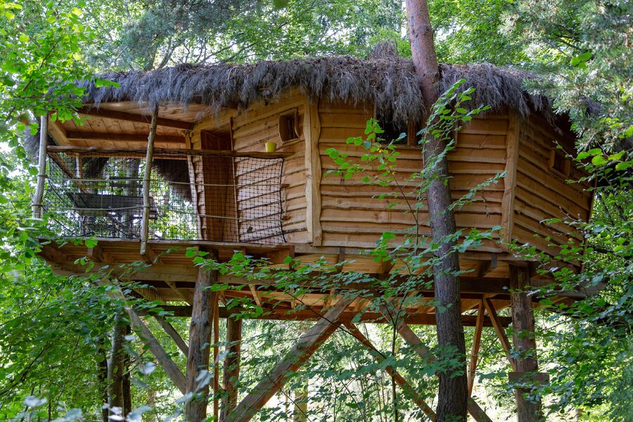 Cabane dans les bois Les Fraises des bois