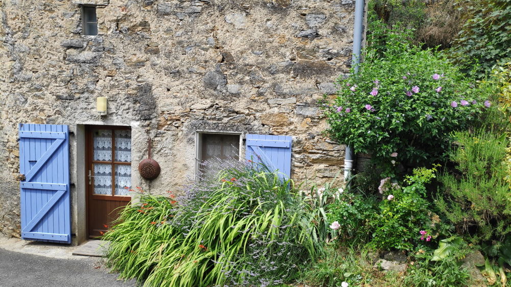 Gîte Black Mountain Holidays - The thyme