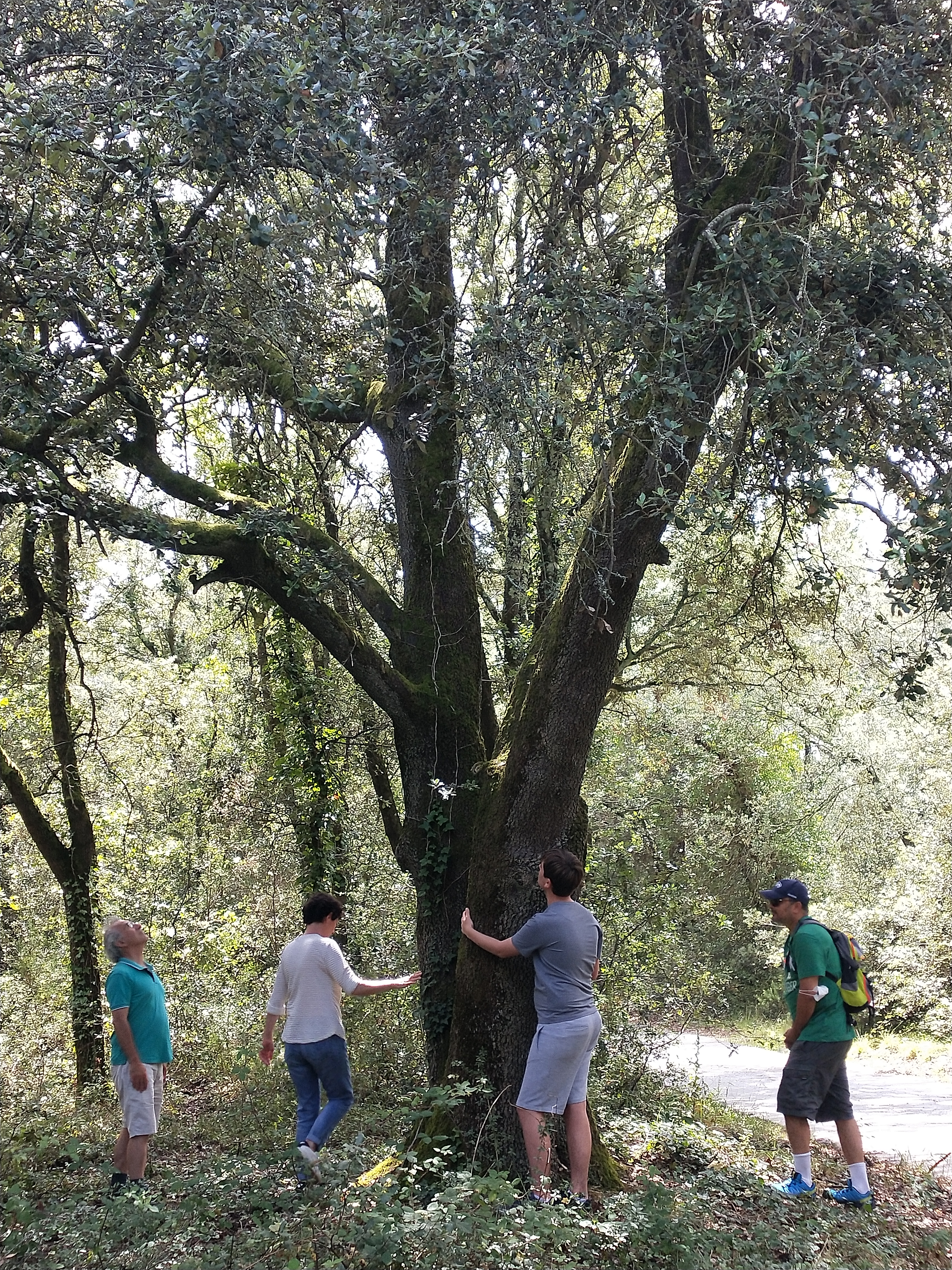 Balades sensorielles en famille