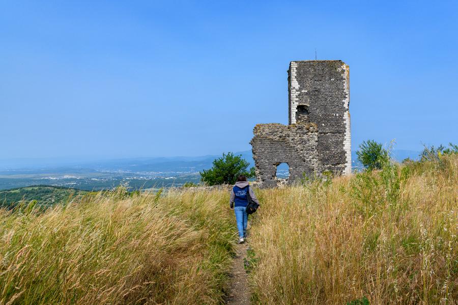 Tour et ruines du château de La Roche_Mirabel