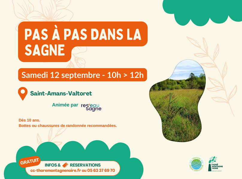 Balade-nature : Pas à pas dans la sagne 