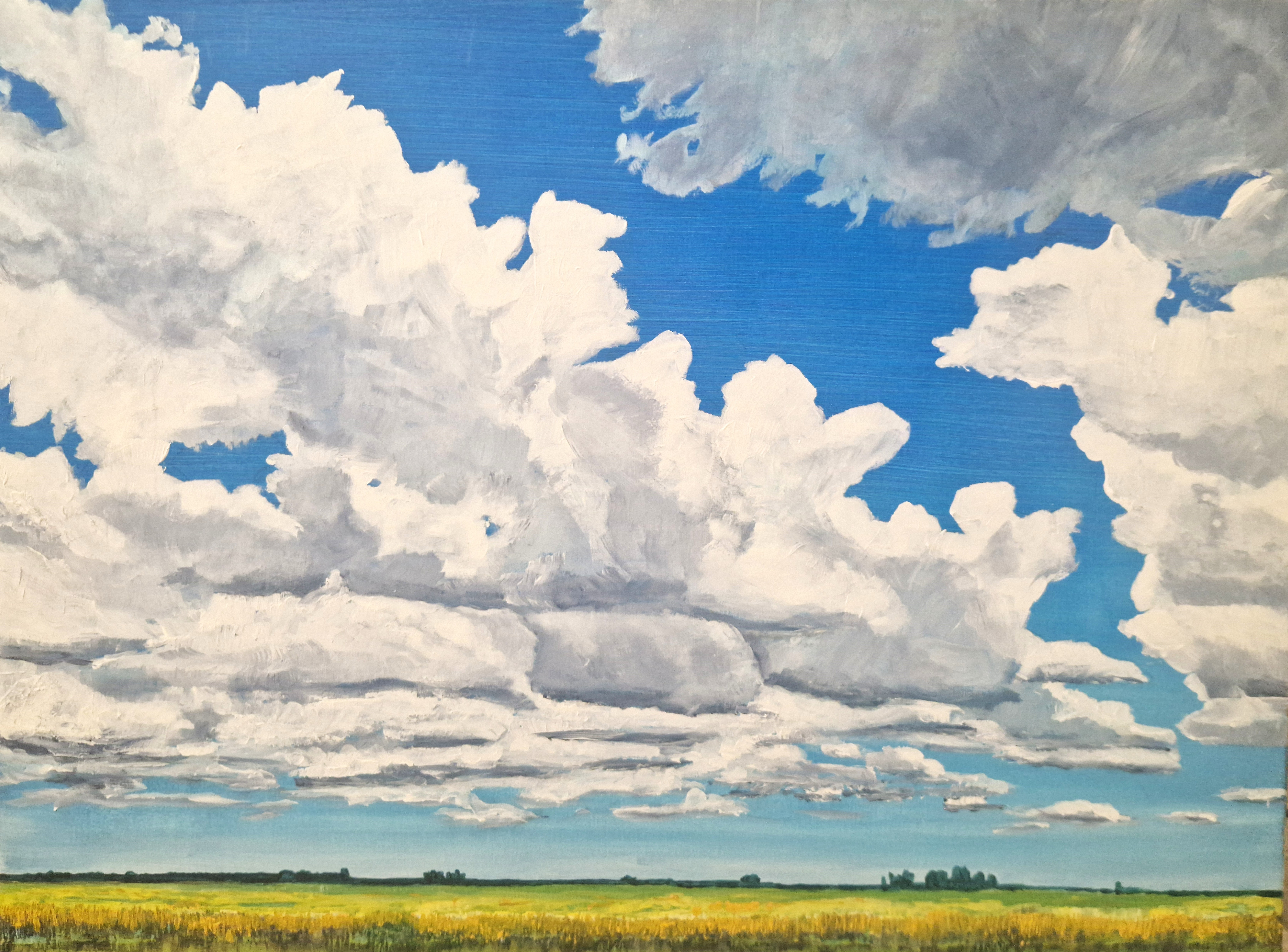 Exposition : Patrick Delaire « Découvertes Naturelles »