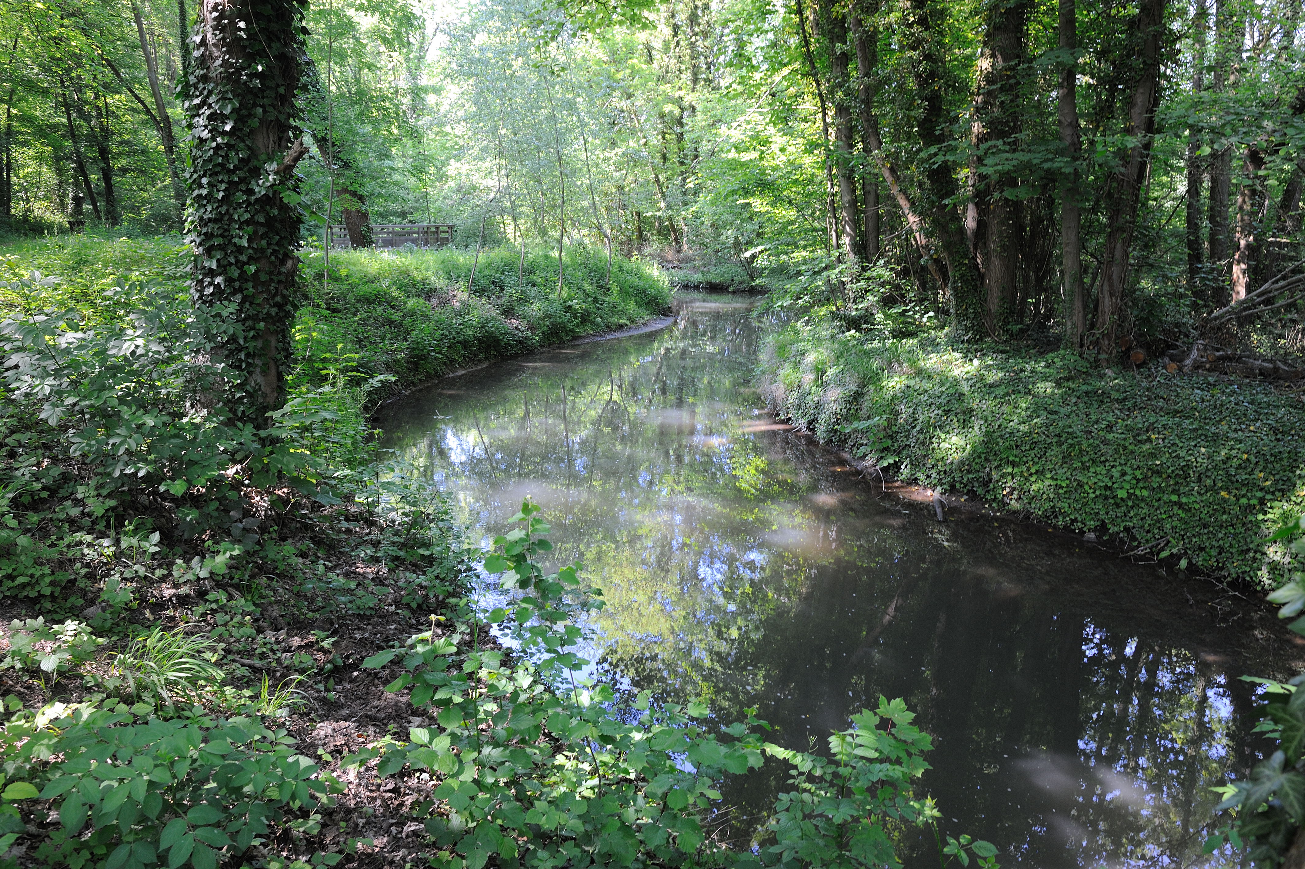 Balade autour de la vallée de la Viosne