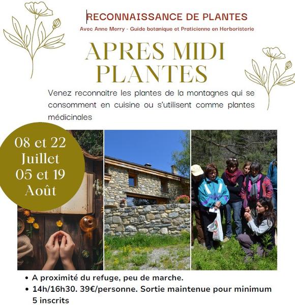 Les après-midi PLANTES au refuge du Pic du Mas de la Grave_La Grave