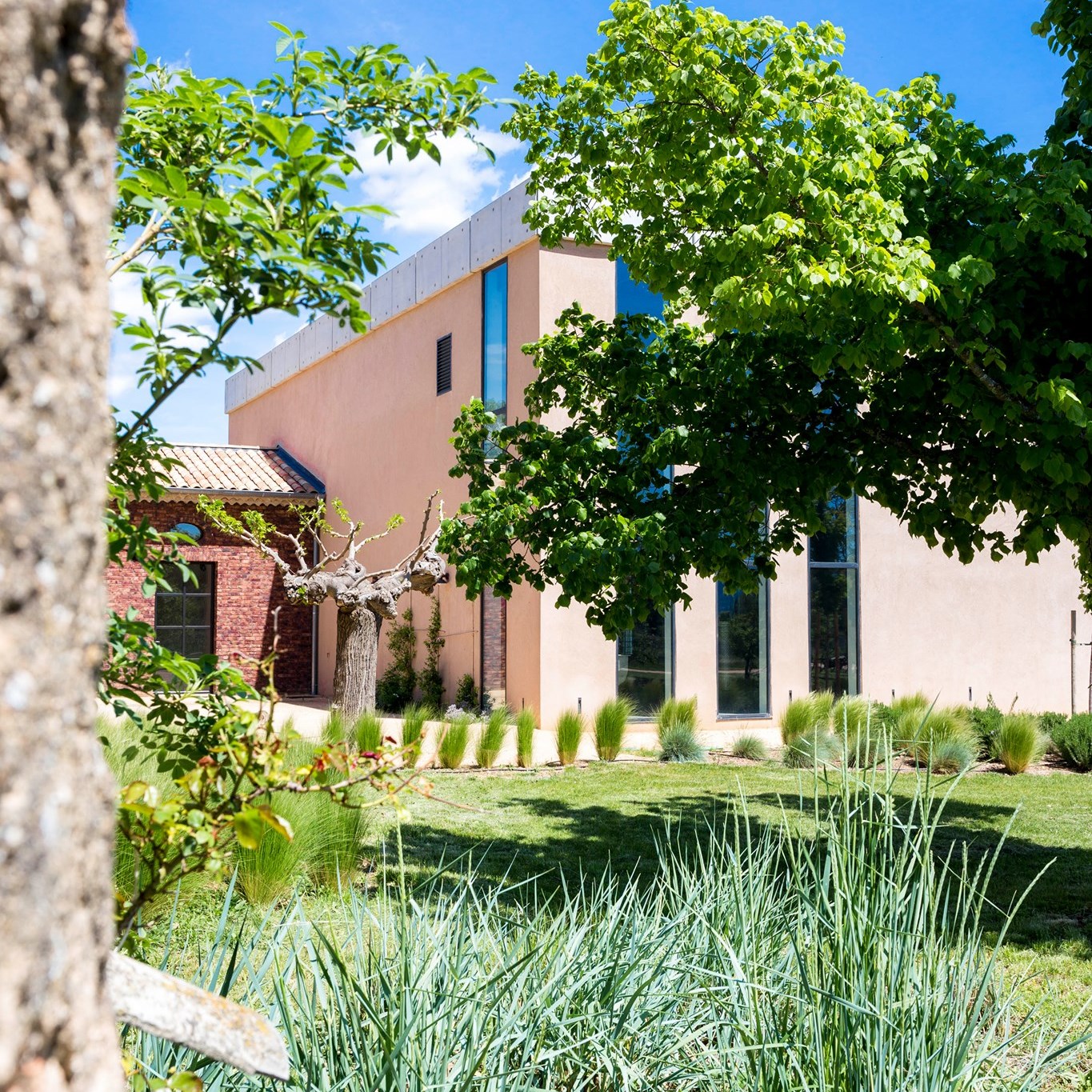Domaine Saint-Pancrace — photo 2