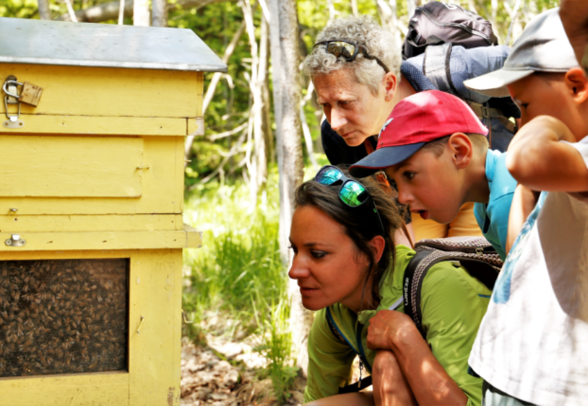 Visite guidée du Jardin des Cimes_Passy