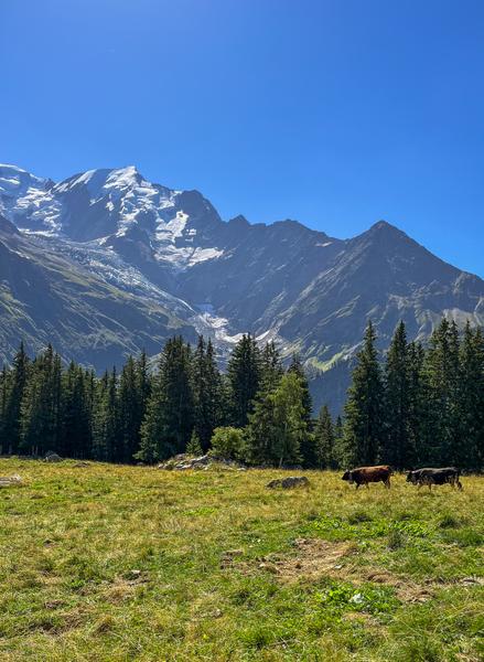 Randonnée du col de Voza à Bellevue