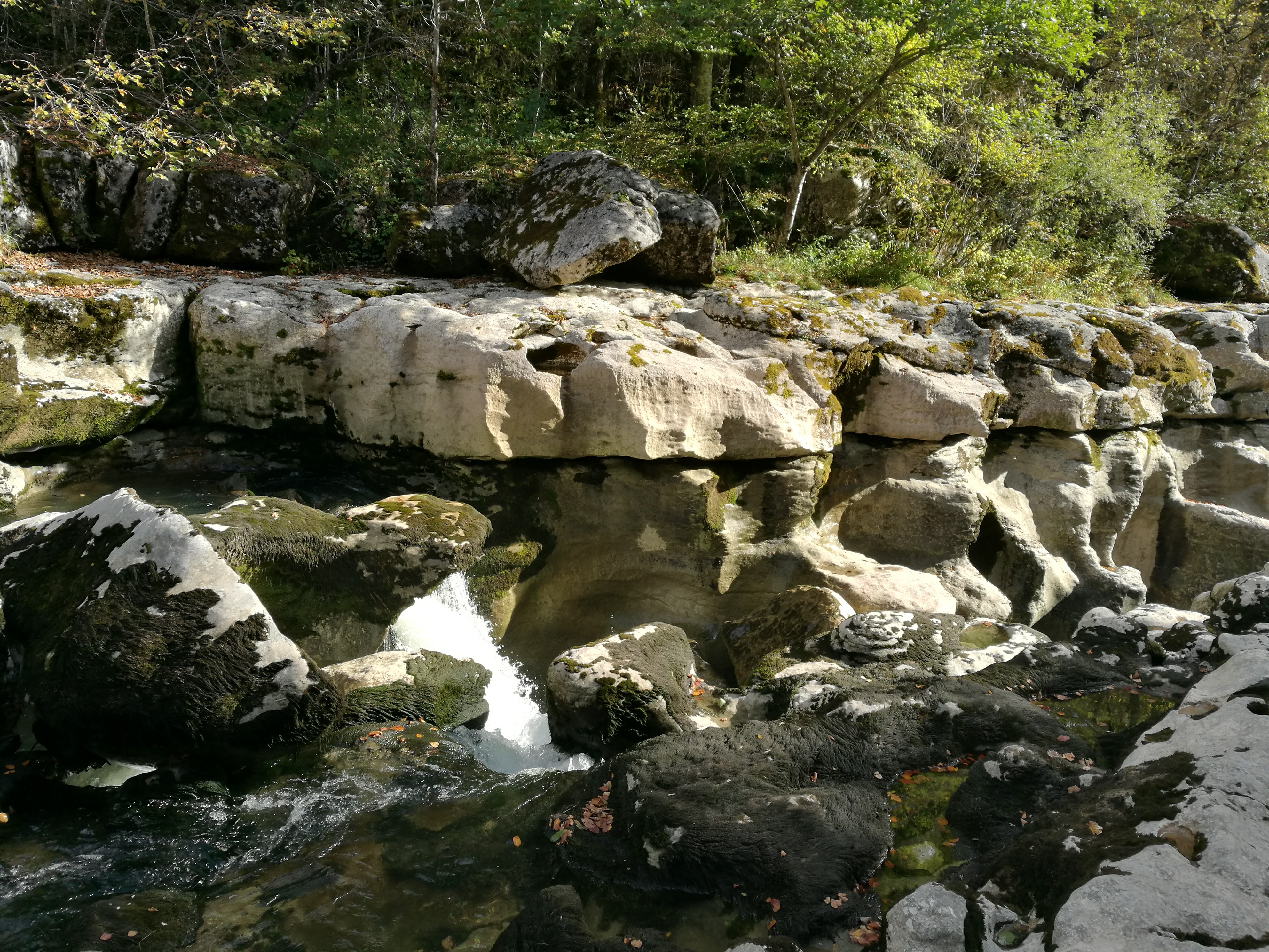 Sortie nature aux Pertes de la Valserine_Valserhône
