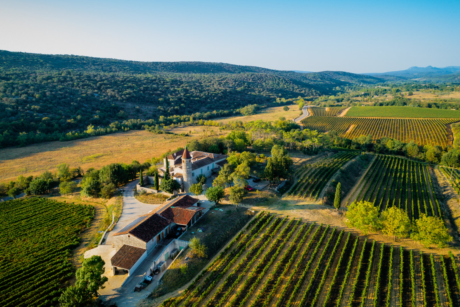 Vin Sauzet