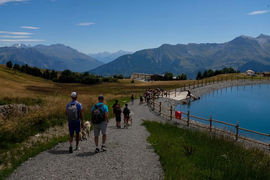 Image 369b2196-1a5c-4e3f-bb48-9e7a991fd3fa