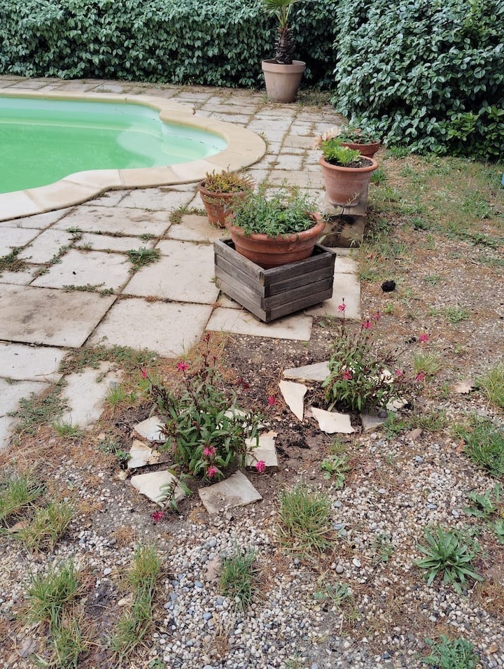 Bel appartement dans une villa
