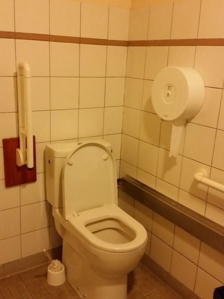 Toilette handicapé