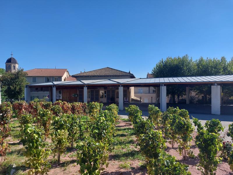 Espace des Brouilly extérieur