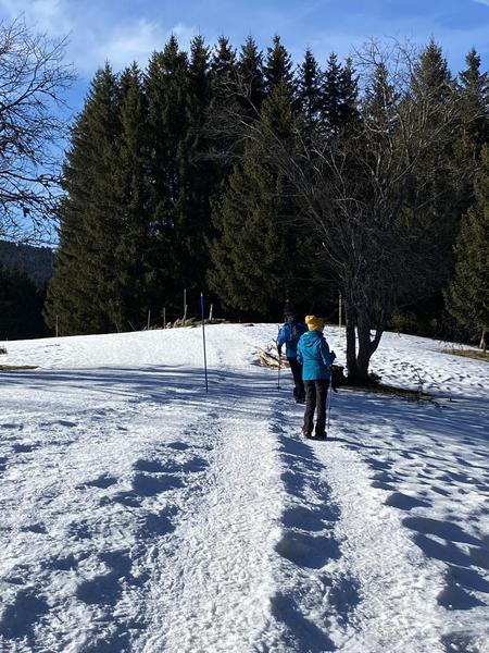 Itinéraire raquettes à neige : la petite traversée_Le Revard