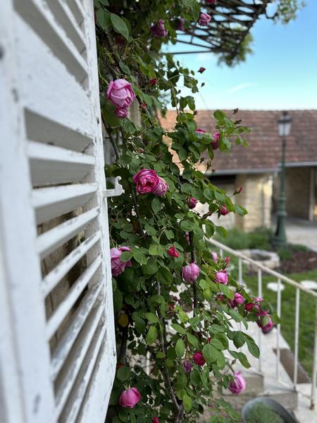 Le Clos des Murmures_Trept