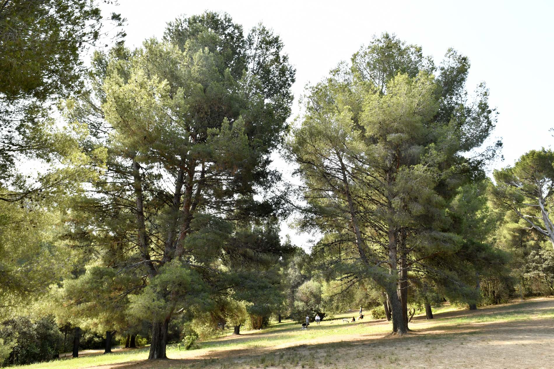 Parc de la Colline Saint-Joseph - photo 2