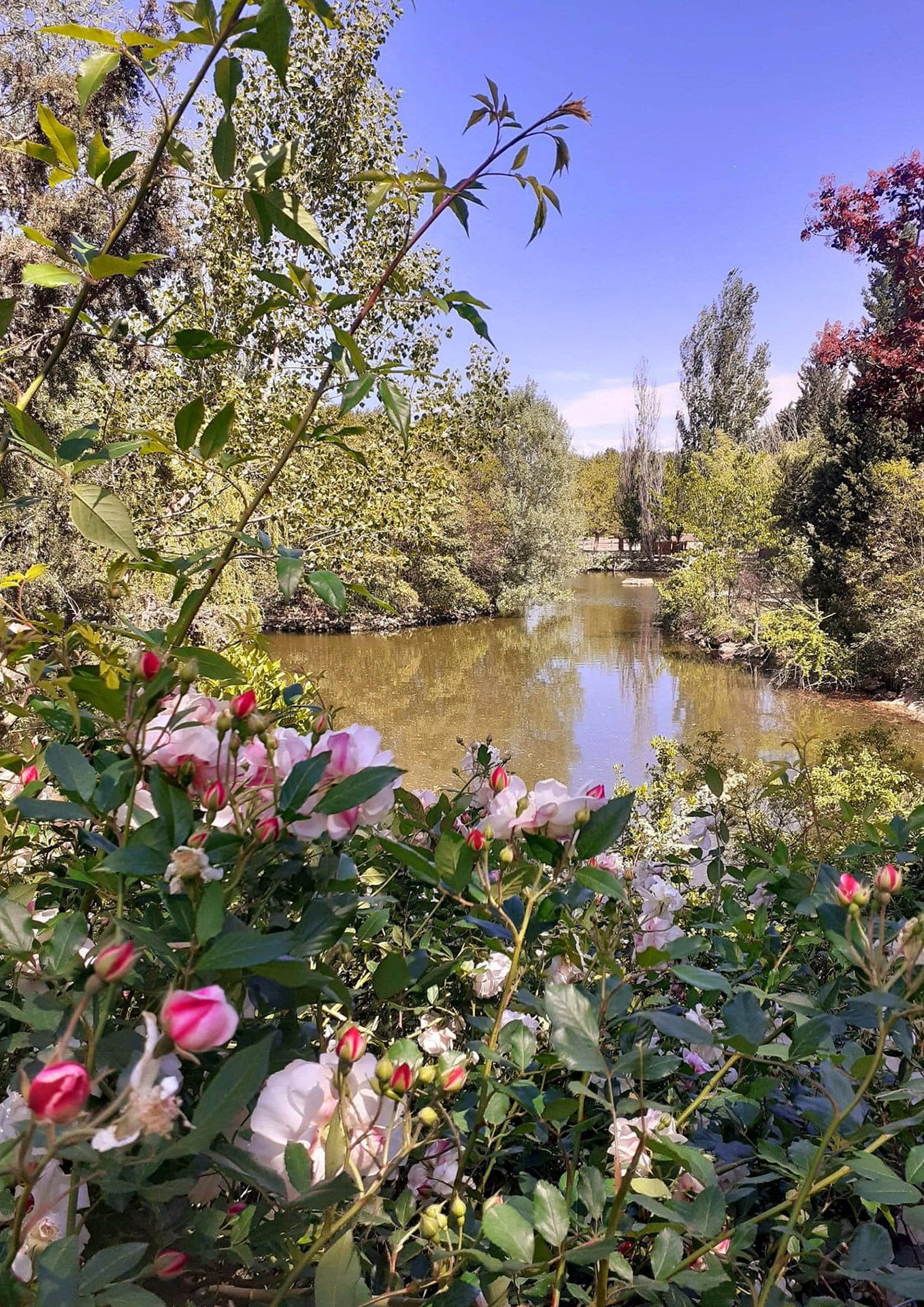 Parc Animalier - L'Arche de Méo, Mollégès - photo 7