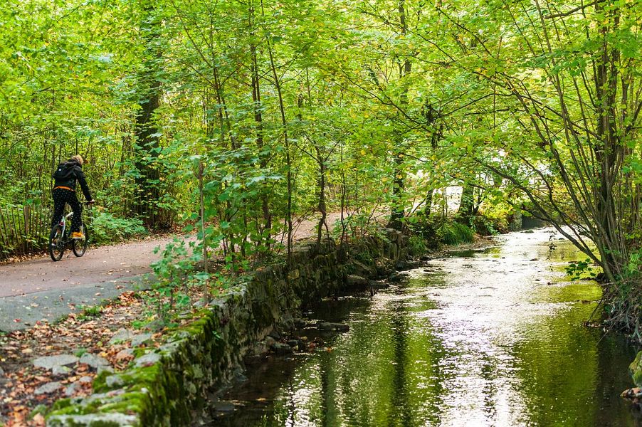 parc de buisson rond