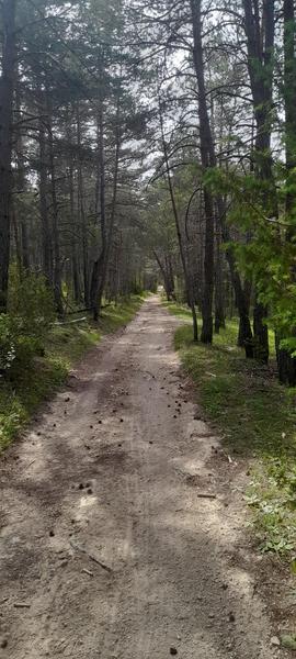 N°5 Circuit VTT et Gravel : Les sources du Fontanil_Saint-Auban
