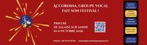 Bandeau Accordina fait son festival