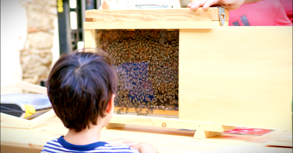 Visite de la Miellerie à la Ferme des Abeilles_Lagorce