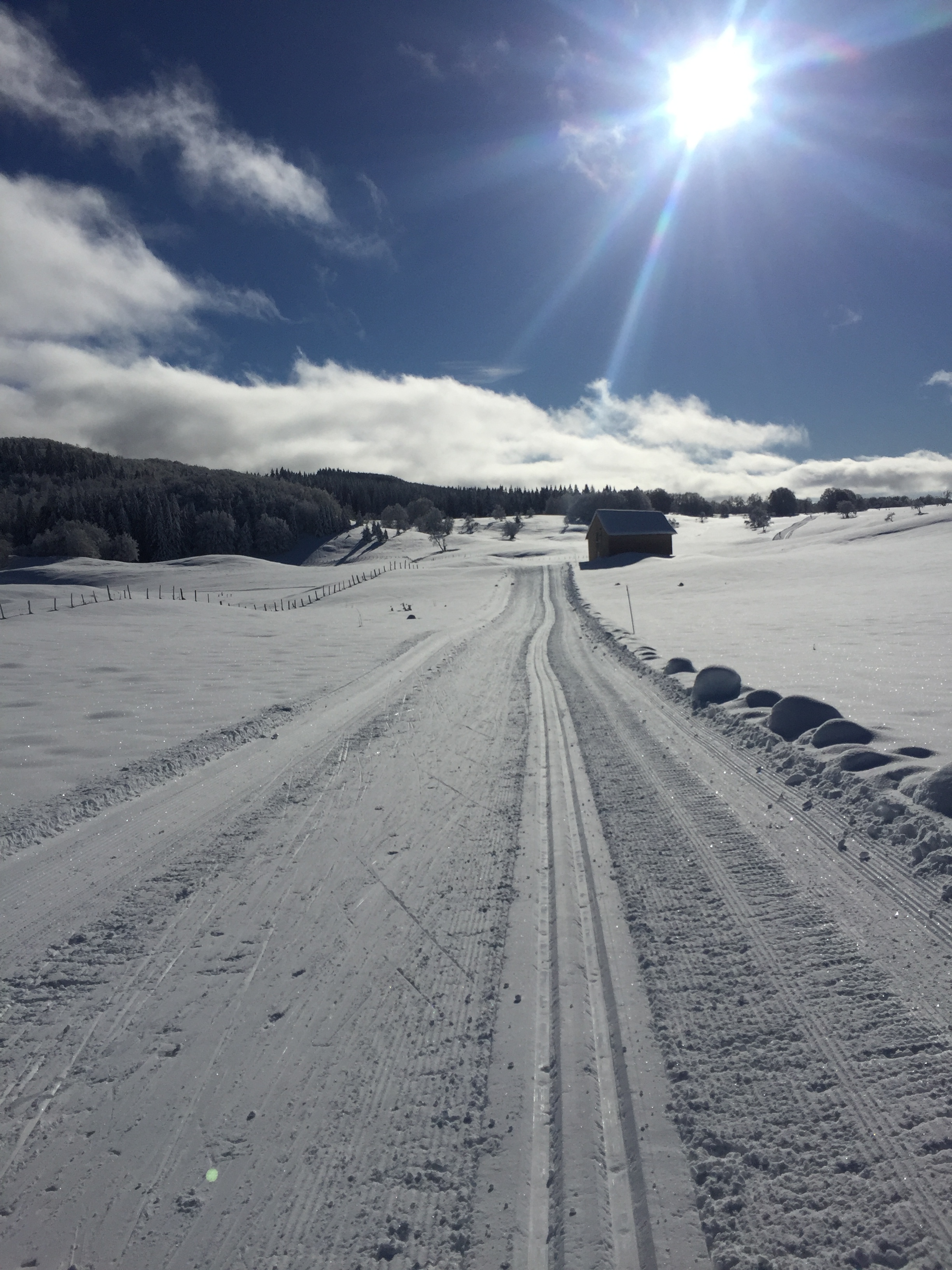 Piste verte de ski de fond du Plateau de Retord : La Vezeronce