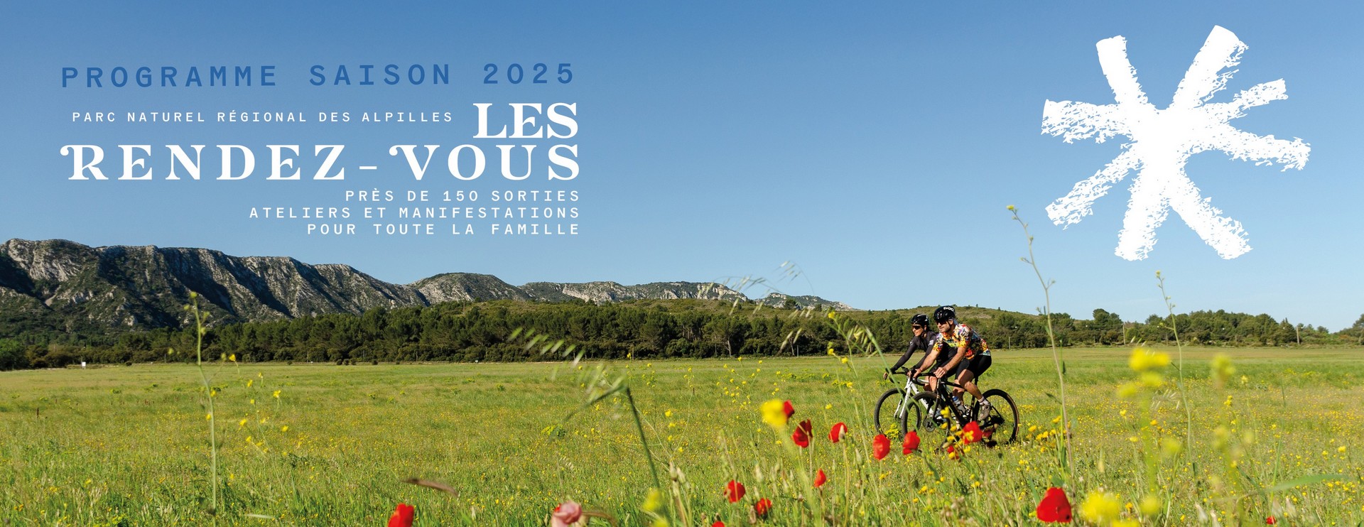 Balade ornithologique : Guêpiers et Rolliers des Alpilles