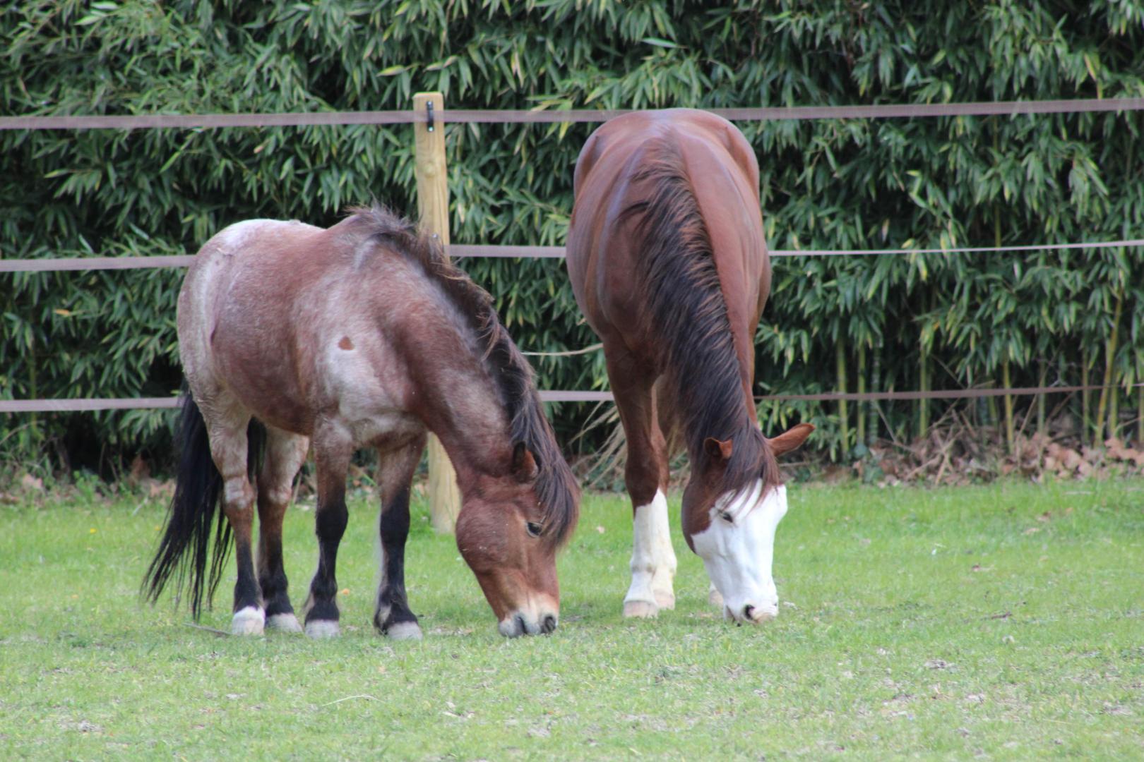 Le Mas des Fontaines, Châteaurenard - photo 2